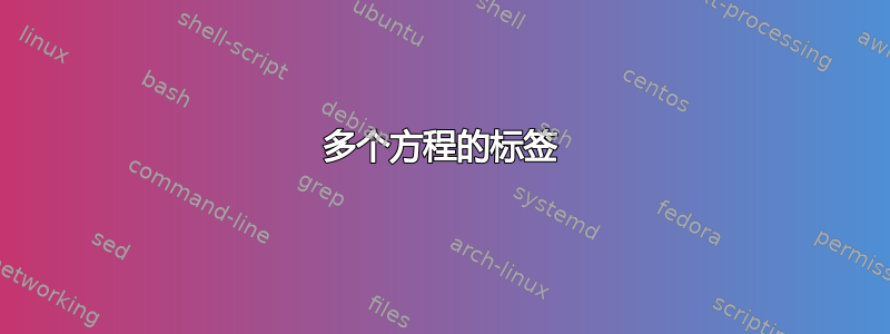 多个方程的标签