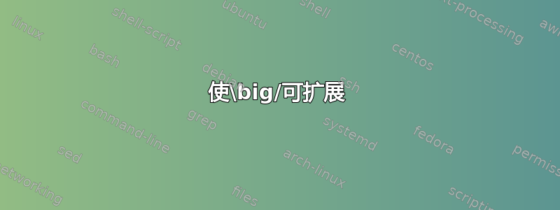 使\big/可扩展