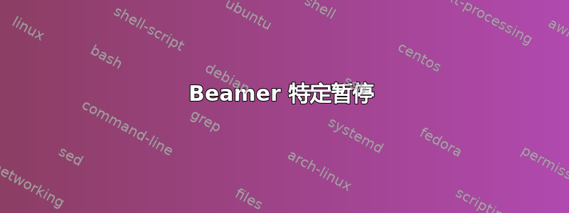 Beamer 特定暂停