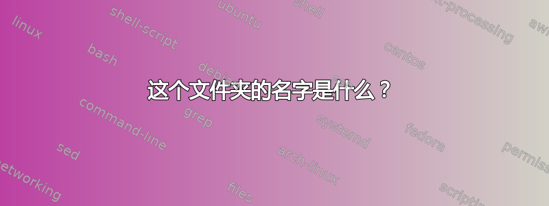 这个文件夹的名字是什么？