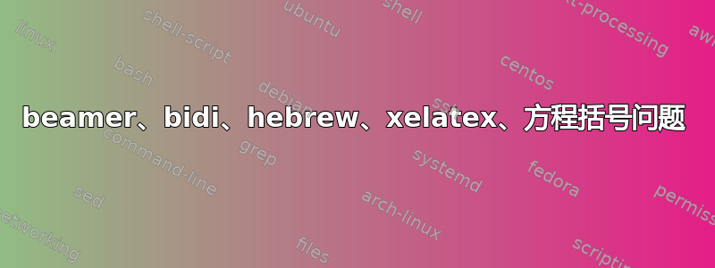 beamer、bidi、hebrew、xelatex、方程括号问题