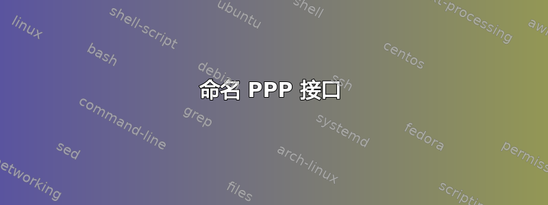 命名 PPP 接口