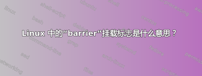 Linux 中的“barrier”挂载标志是什么意思？