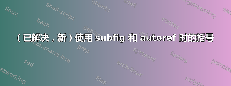 （已解决，新）使用 subfig 和 autoref 时的括号