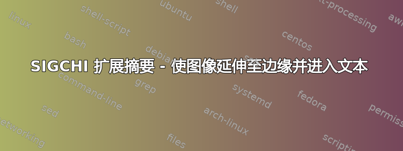 SIGCHI 扩展摘要 - 使图像延伸至边缘并进入文本