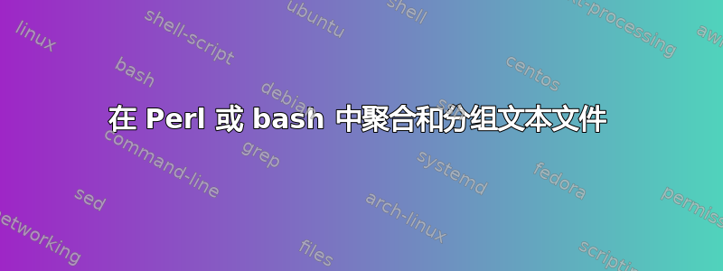 在 Perl 或 bash 中聚合和分组文本文件