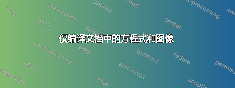 仅编译文档中的方程式和图像