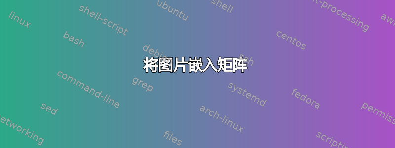 将图片嵌入矩阵