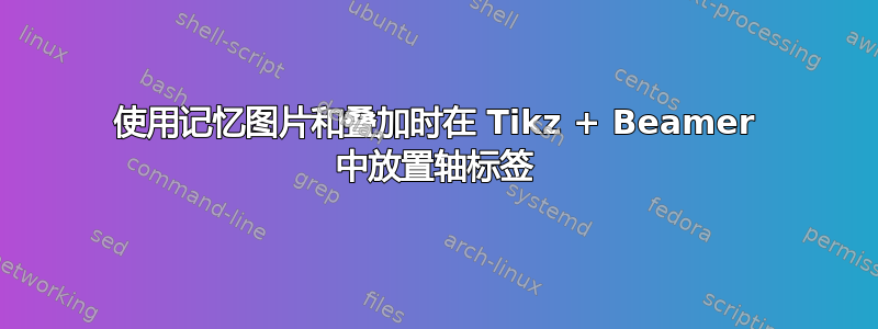 使用记忆图片和叠加时在 Tikz + Beamer 中放置轴标签