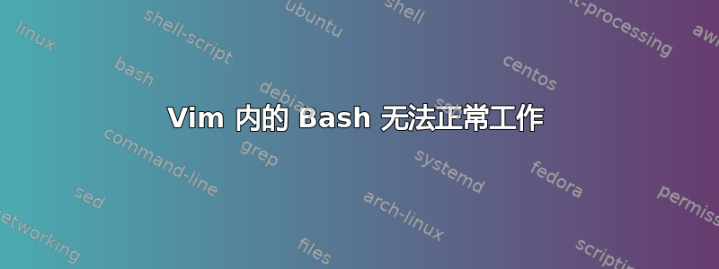 Vim 内的 Bash 无法正常工作