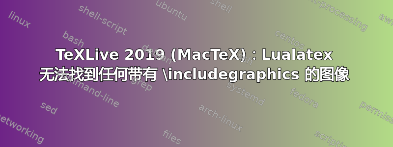 TeXLive 2019 (MacTeX)：Lualatex 无法找到任何带有 \includegraphics 的图像