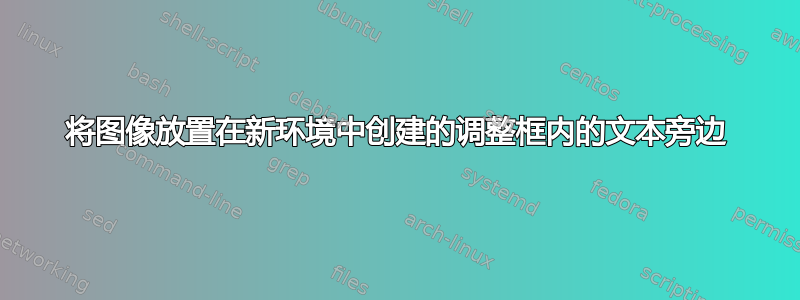 将图像放置在新环境中创建的调整框内的文本旁边