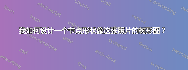 我如何设计一个节点形状像这张照片的树形图？