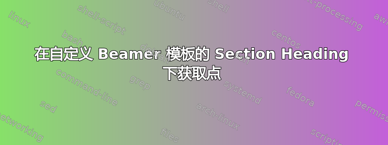 在自定义 Beamer 模板的 Section Heading 下获取点