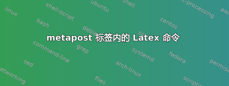 metapost 标签内的 Latex 命令