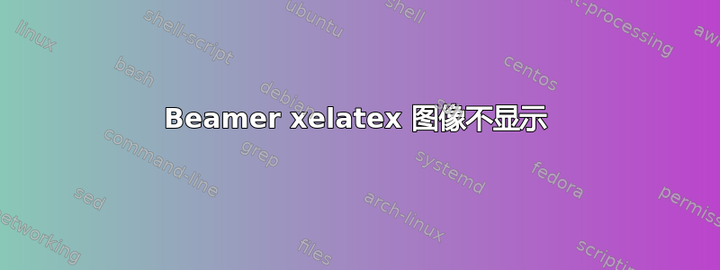 Beamer xelatex 图像不显示