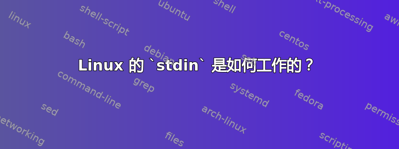 Linux 的 `stdin` 是如何工作的？