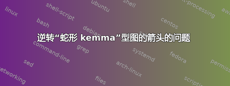 逆转“蛇形 kemma”型图的箭头的问题