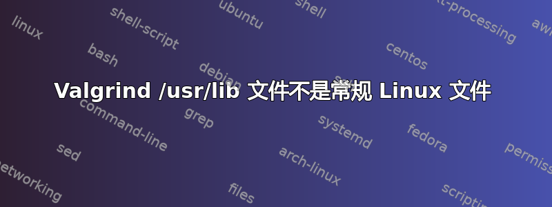 Valgrind /usr/lib 文件不是常规 Linux 文件