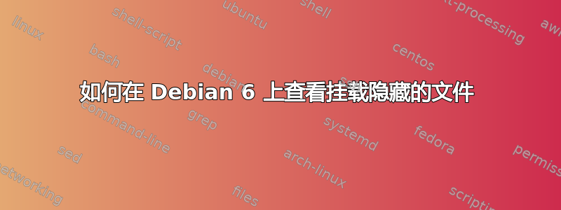 如何在 Debian 6 上查看挂载隐藏的文件