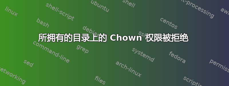 所拥有的目录上的 Chown 权限被拒绝