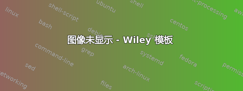 图像未显示 - Wiley 模板