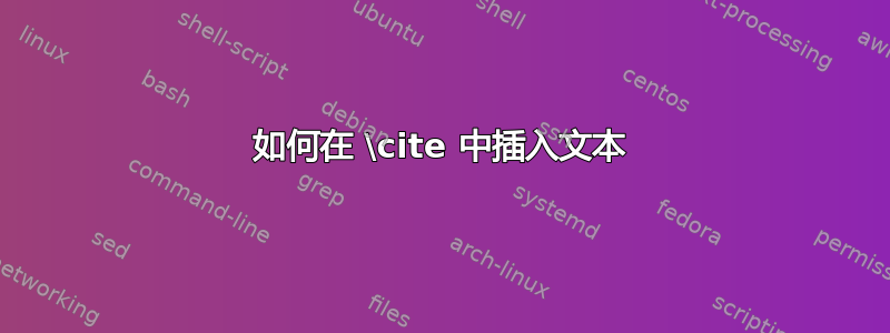 如何在 \cite 中插入文本