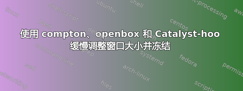 使用 compton、openbox 和 Catalyst-hoo 缓慢调整窗口大小并冻结