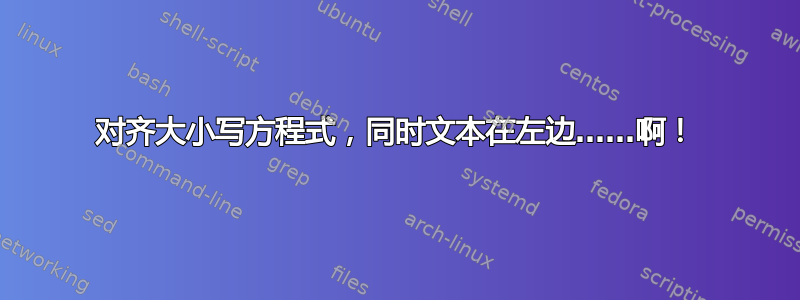 对齐大小写方程式，同时文本在左边……啊！