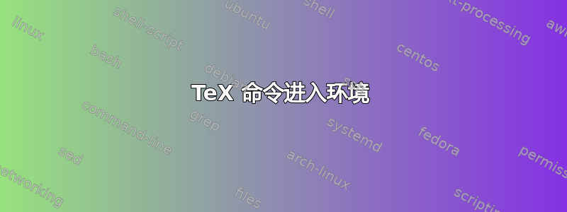 TeX 命令进入环境