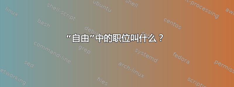 “自由”中的职位叫什么？