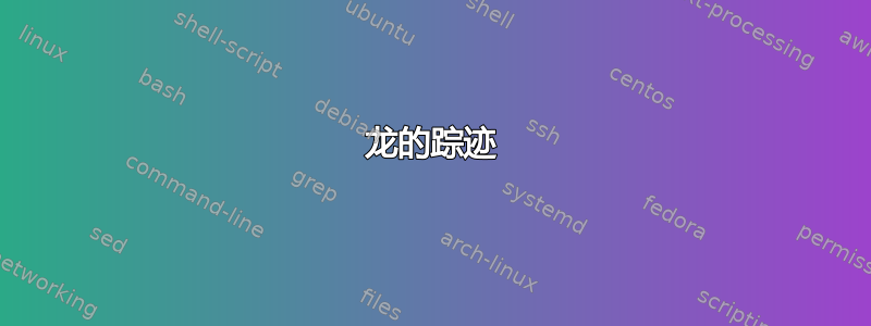 龙的踪迹