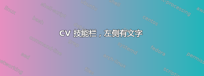 CV 技能栏，左侧有文字