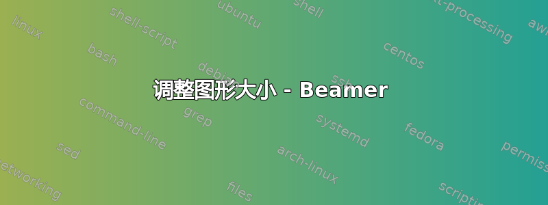 调整图形大小 - Beamer