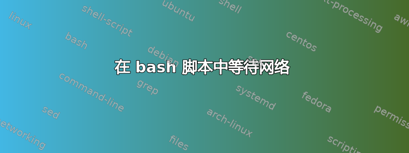 在 bash 脚本中等待网络