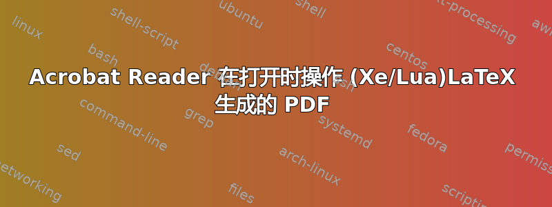 Acrobat Reader 在打开时操作 (Xe/Lua)LaTeX 生成的 PDF