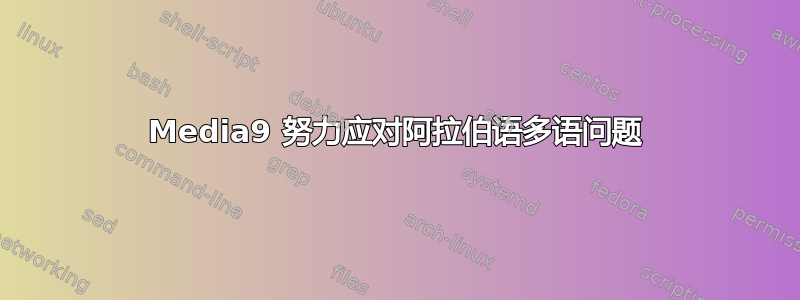 Media9 努力应对阿拉伯语多语问题