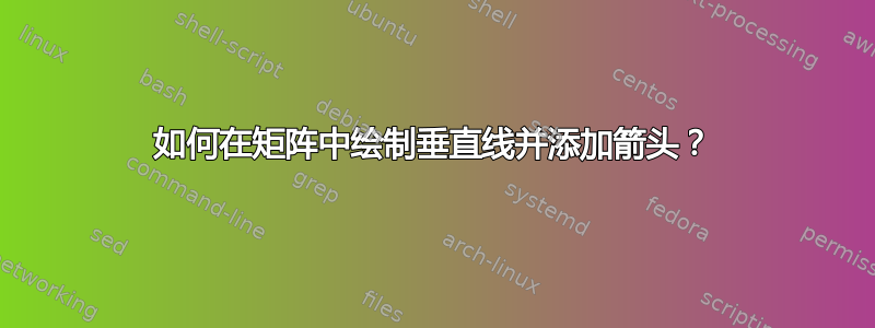 如何在矩阵中绘制垂直线并添加箭头？