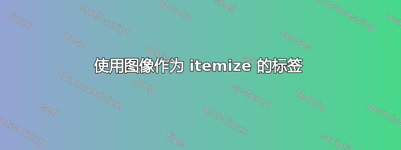 使用图像作为 itemize 的标签