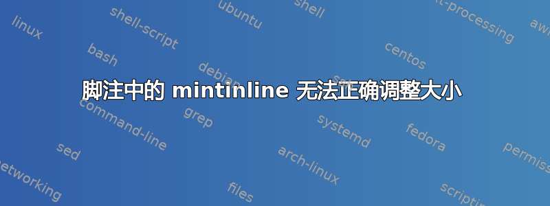 脚注中的 mintinline 无法正确调整大小