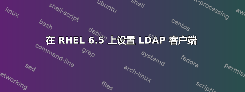 在 RHEL 6.5 上设置 LDAP 客户端