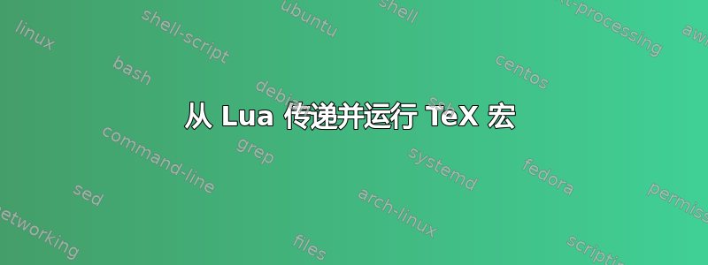 从 Lua 传递并运行 TeX 宏