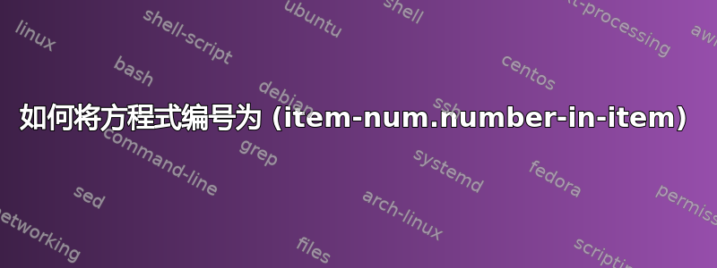 如何将方程式编号为 (item-num.number-in-item)