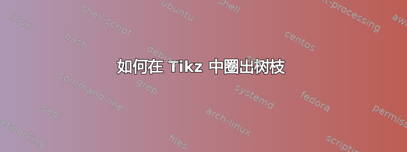 如何在 Tikz 中圈出树枝