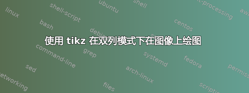 使用 tikz 在双列模式下在图像上绘图