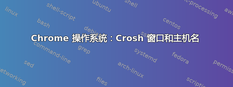 Chrome 操作系统：Crosh 窗口和主机名