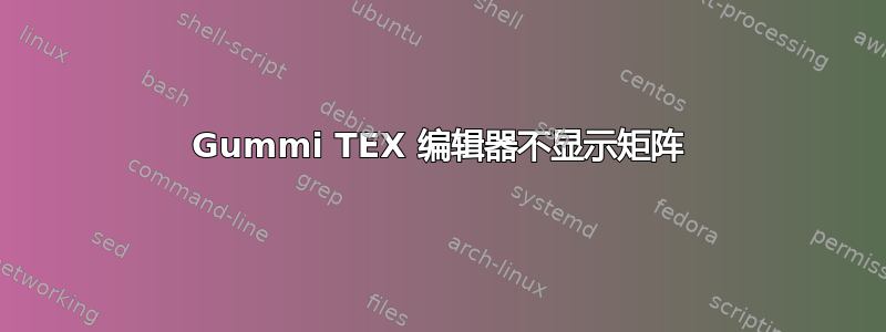 Gummi TEX 编辑器不显示矩阵