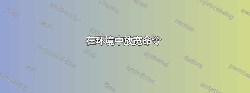 在环境中放宽命令