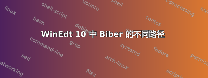 WinEdt 10 中 Biber 的不同路径