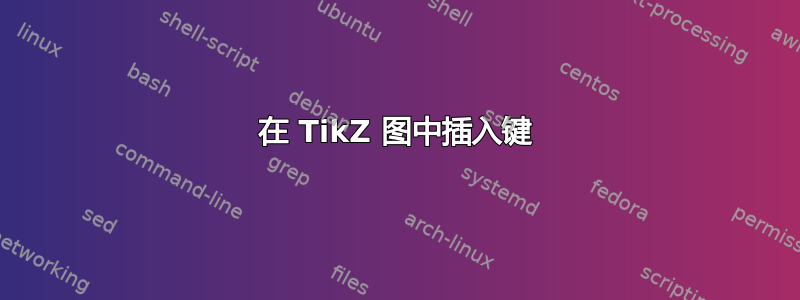 在 TikZ 图中插入键